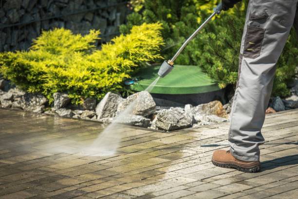 Best Rust Removal  in Pine Grove Mills, PA